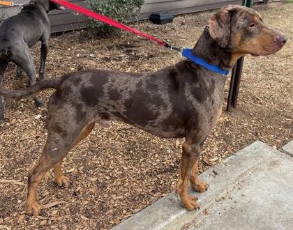 Moxxie — thumbnail 2