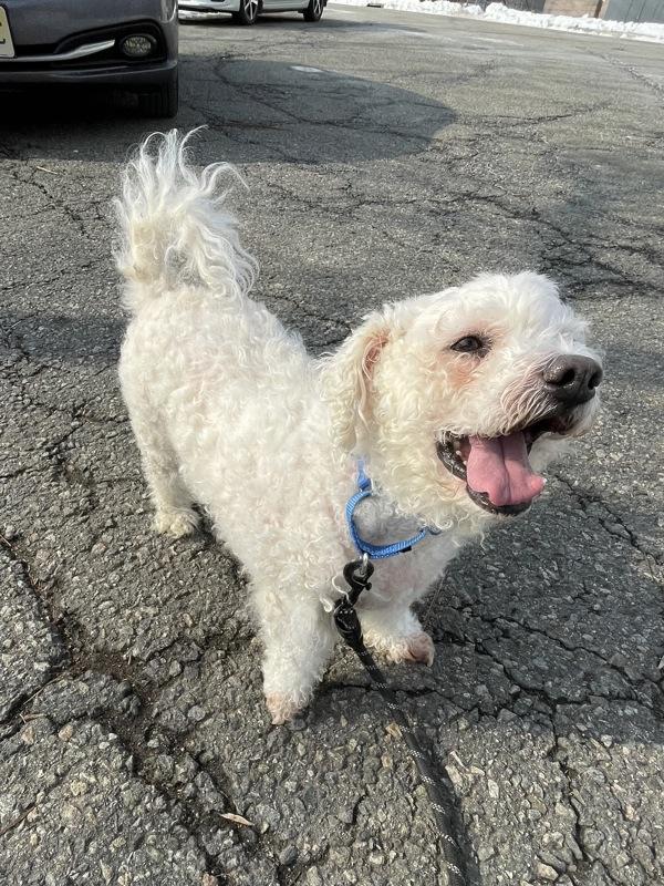 Dylan — thumbnail 4