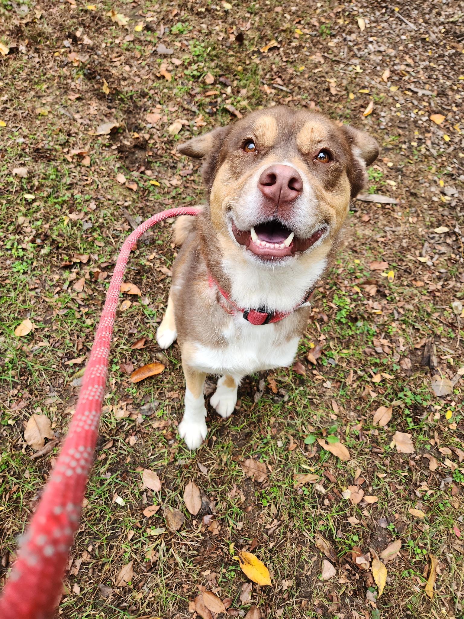 Dutchess thumbnail 2