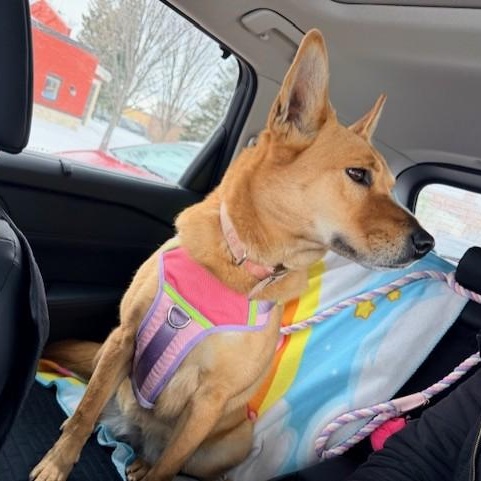 Alani — thumbnail 2