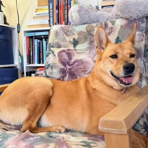 Alani — thumbnail 3