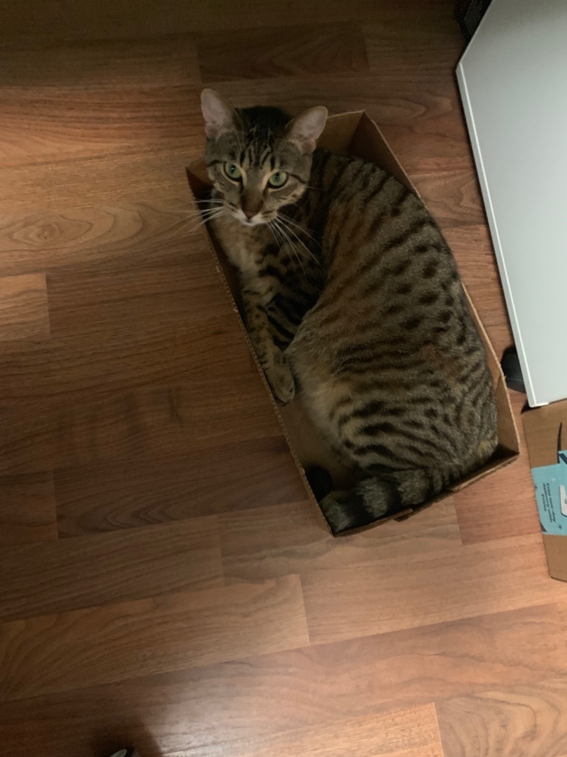 Tigger photo 3