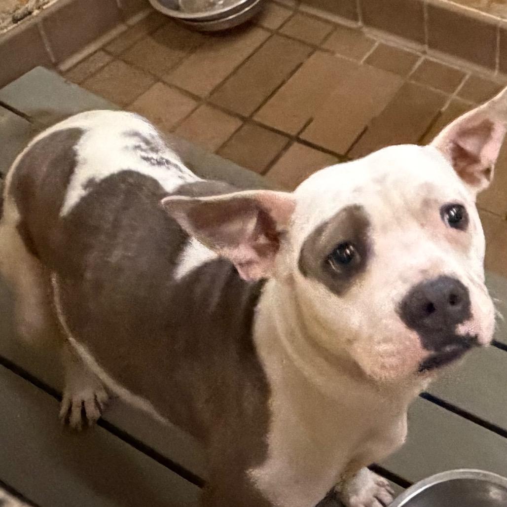 Kera — thumbnail 2