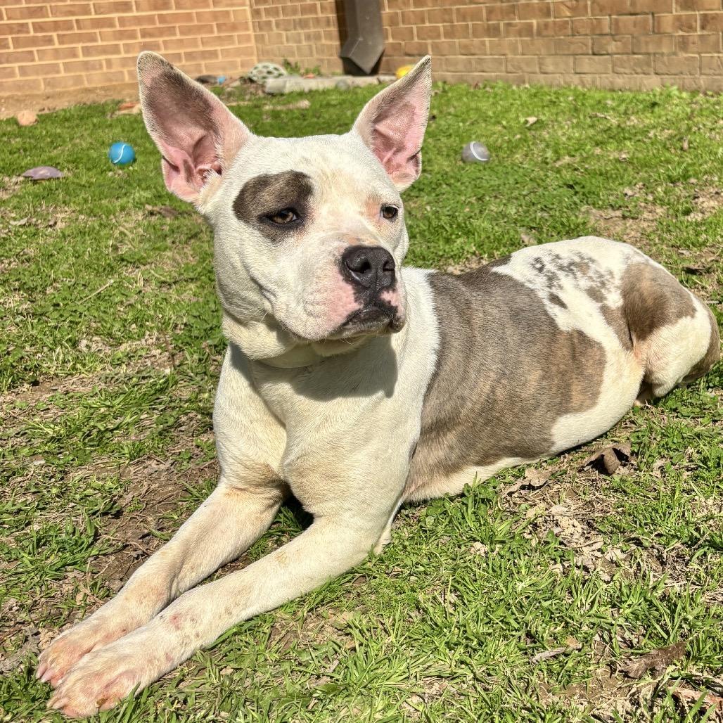 Kera — thumbnail 3