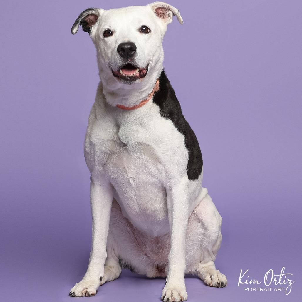 Antoinette — thumbnail 6