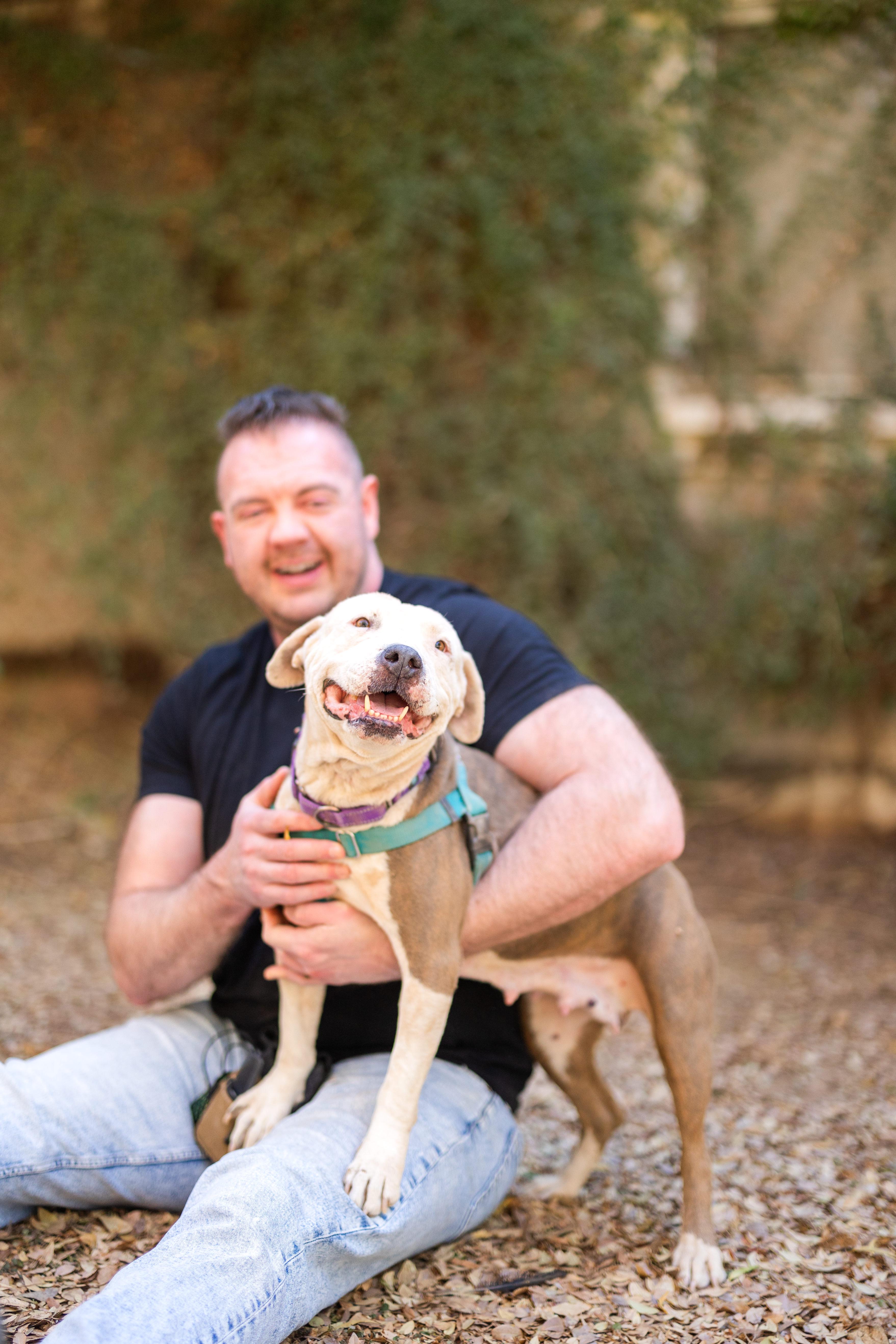 Uma, a Adoptable mixed breed in Peoria, AZ image 3/6