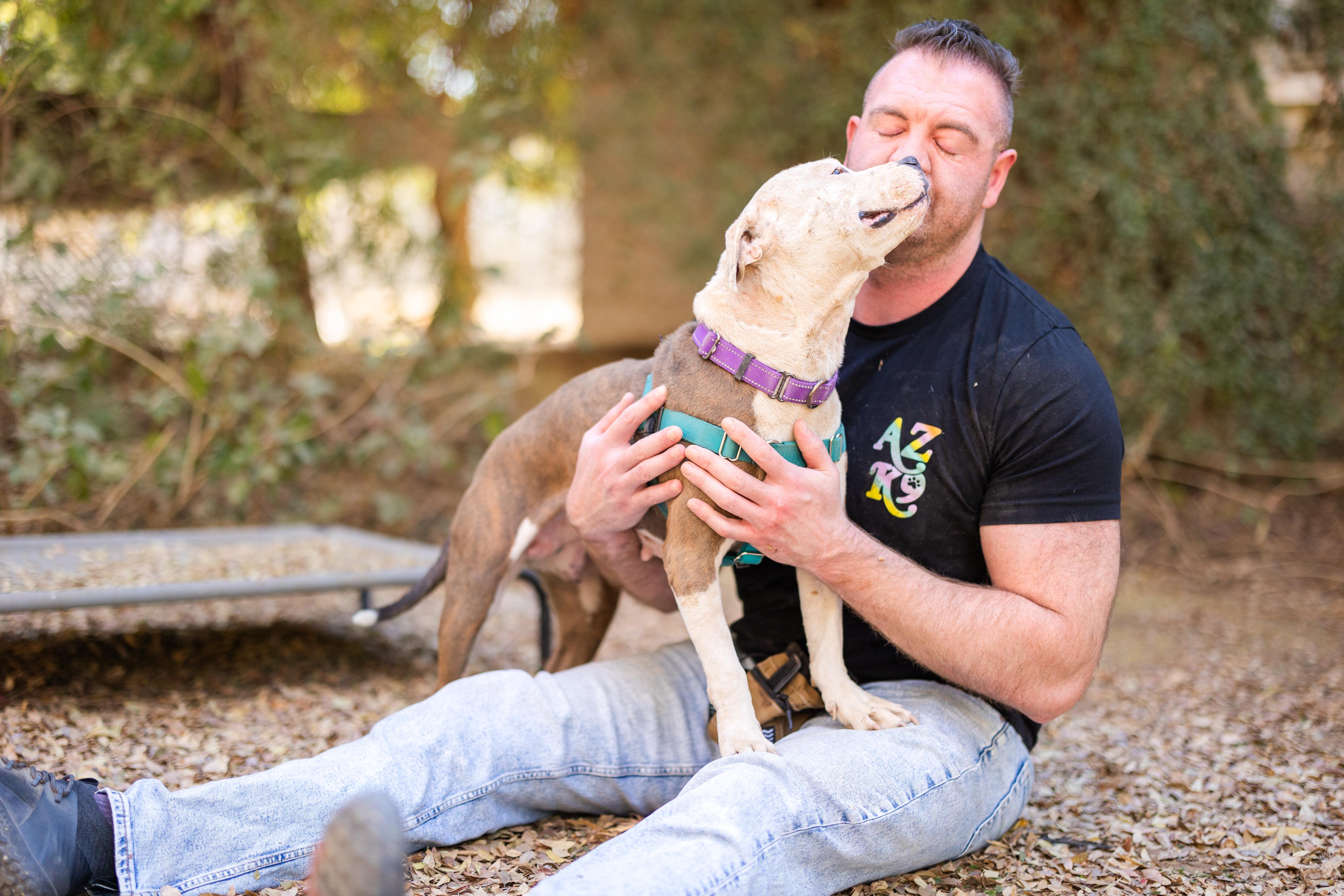 Uma, a Adoptable mixed breed in Peoria, AZ image 1/6