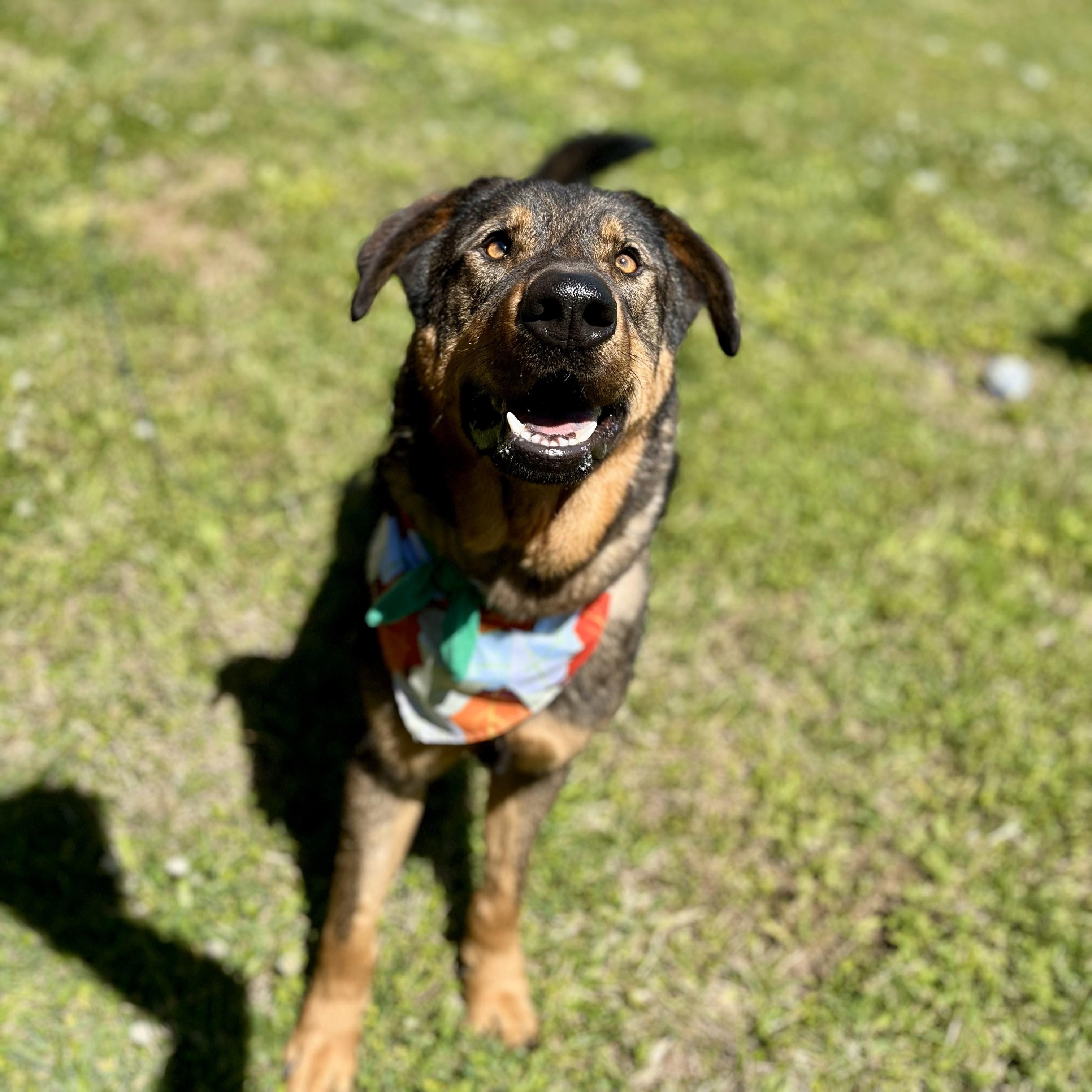 Montezuma — thumbnail 2