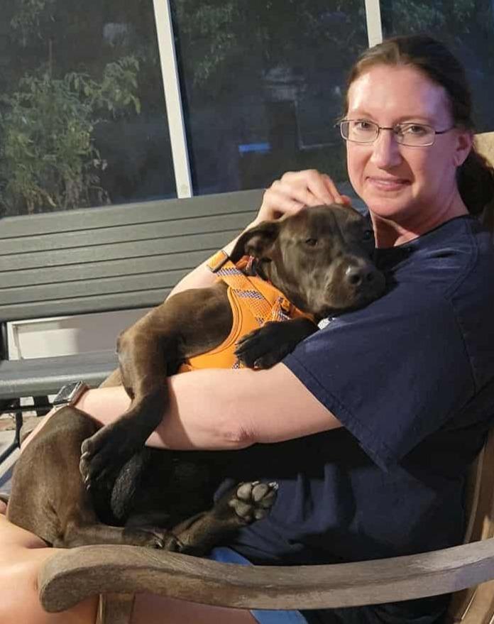 Marlowe (Denise & Marlowe), a Adoptable mixed breed in Hartsville, SC image 3/6