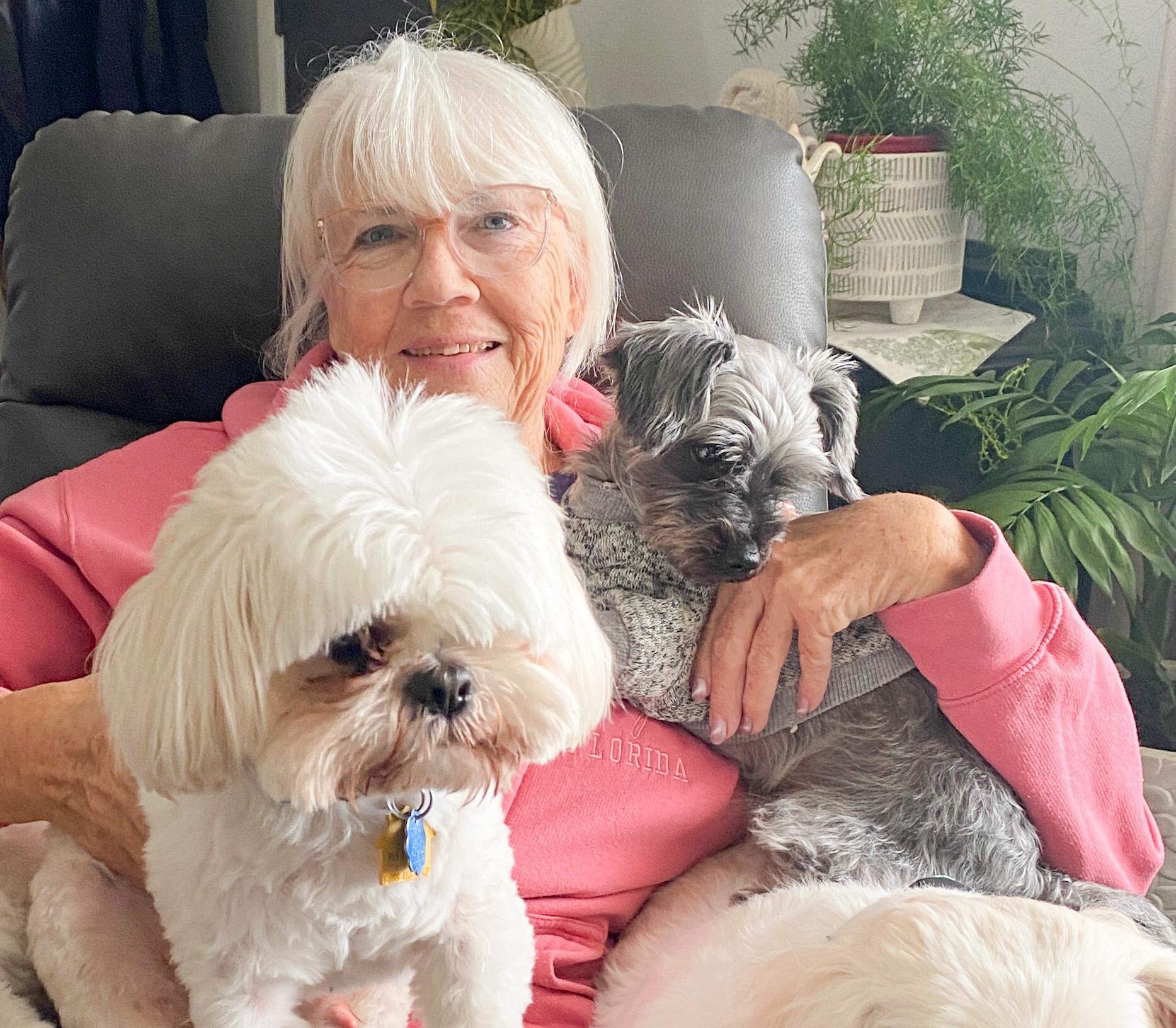 Enlarge DEXTER, a Adoptable mixed breed in Westmont, IL image 2/6