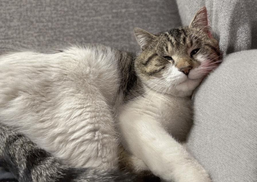 Alvin Hobbs — thumbnail 2