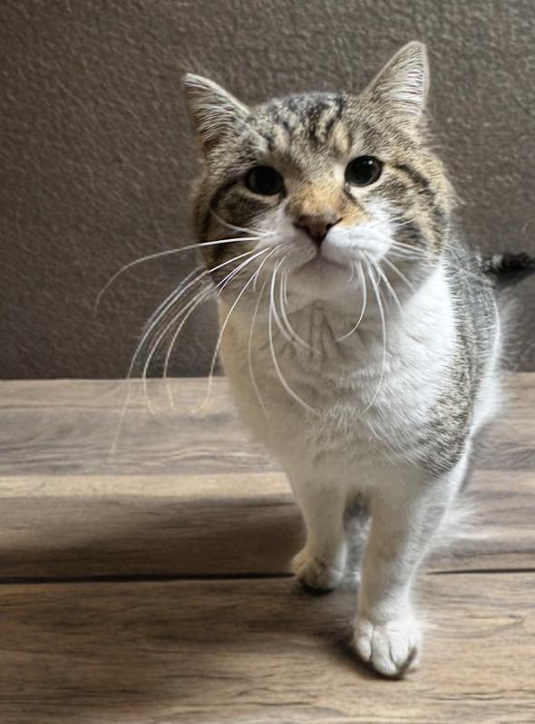 Alvin Hobbs — thumbnail 3