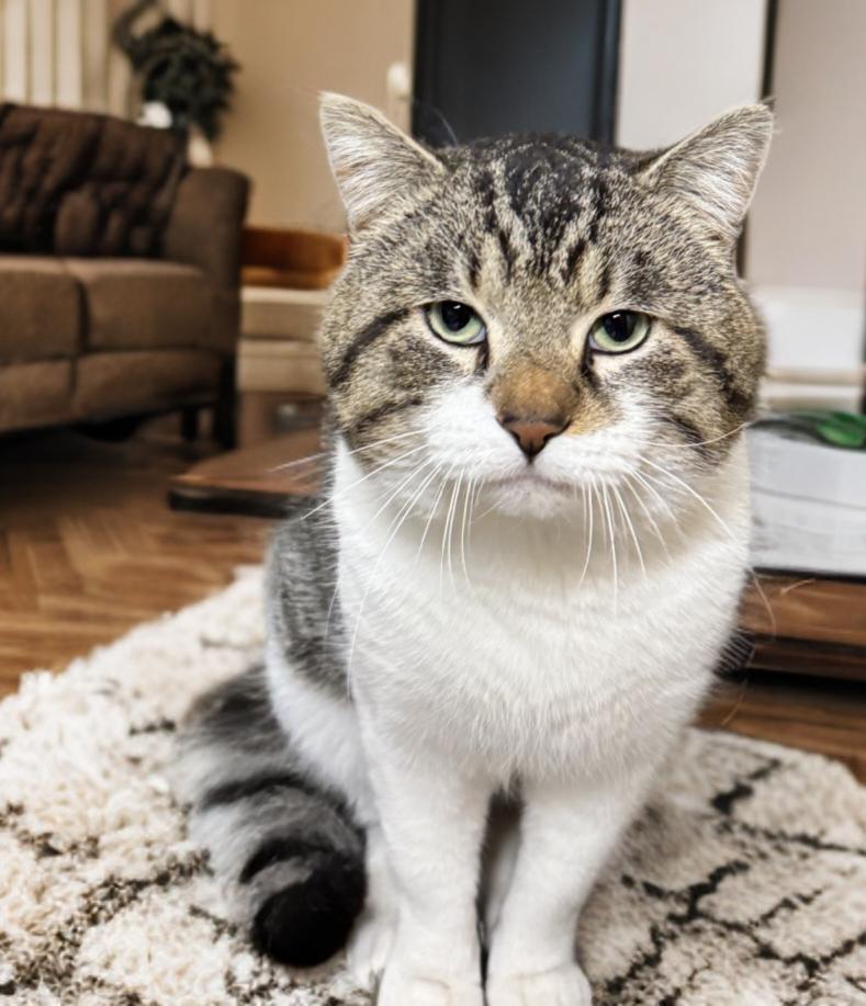 Alvin Hobbs — thumbnail 4