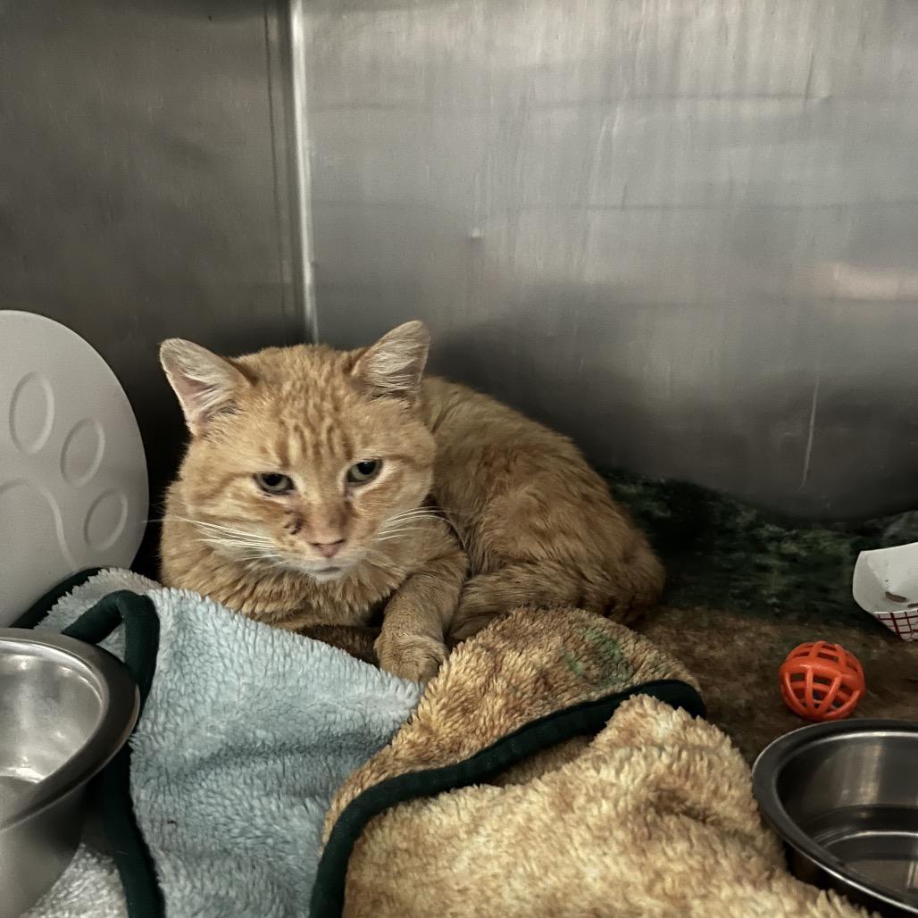 Walter — thumbnail 2