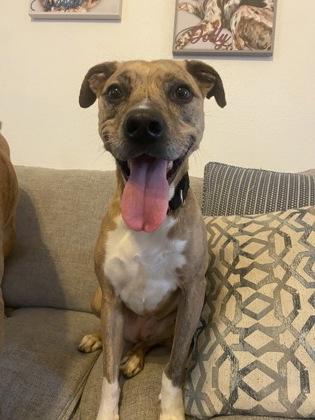 Prada — thumbnail 2