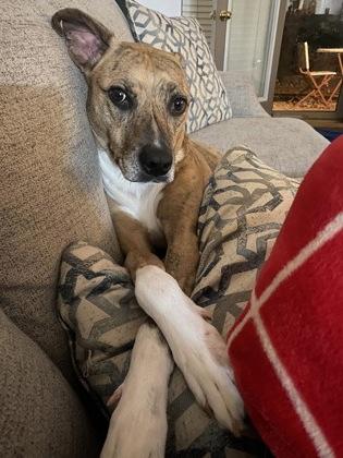 Prada — thumbnail 3