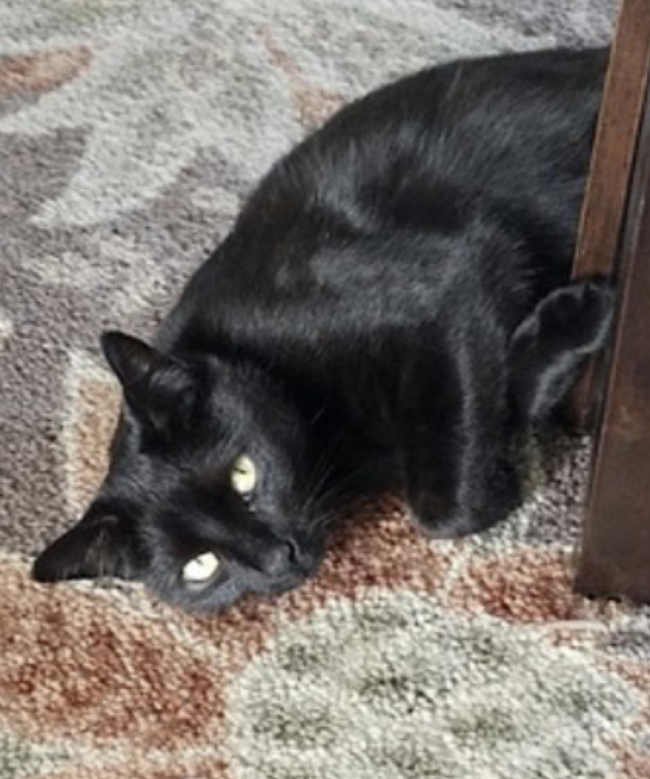 Barry — thumbnail 4