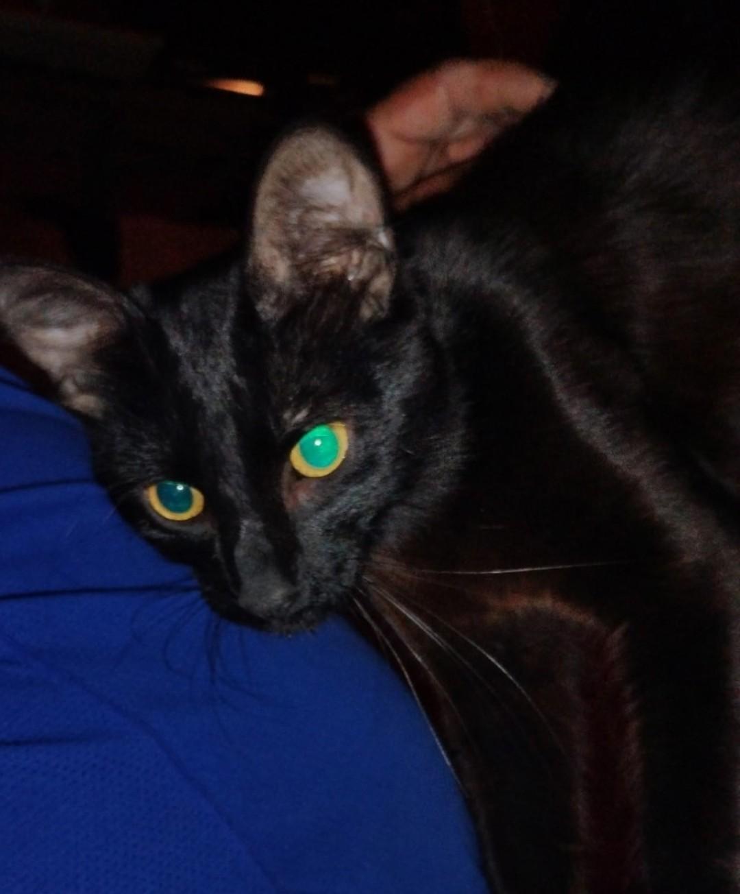 Binx