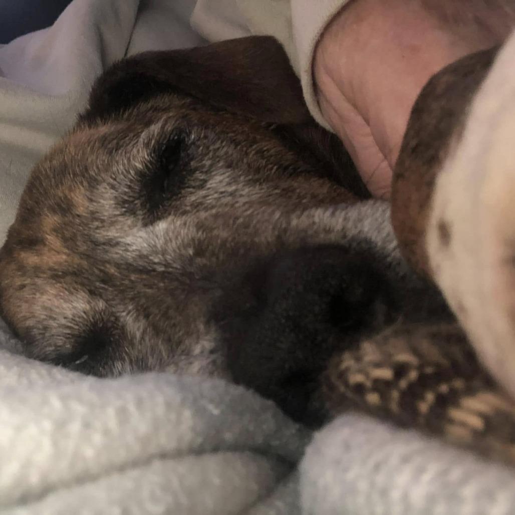 Myrtle — thumbnail 2