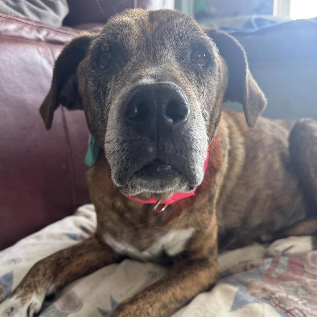 Myrtle — thumbnail 3