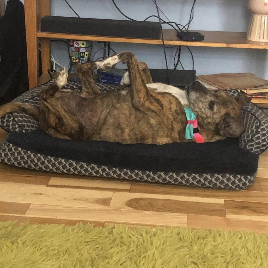 Myrtle — thumbnail 4