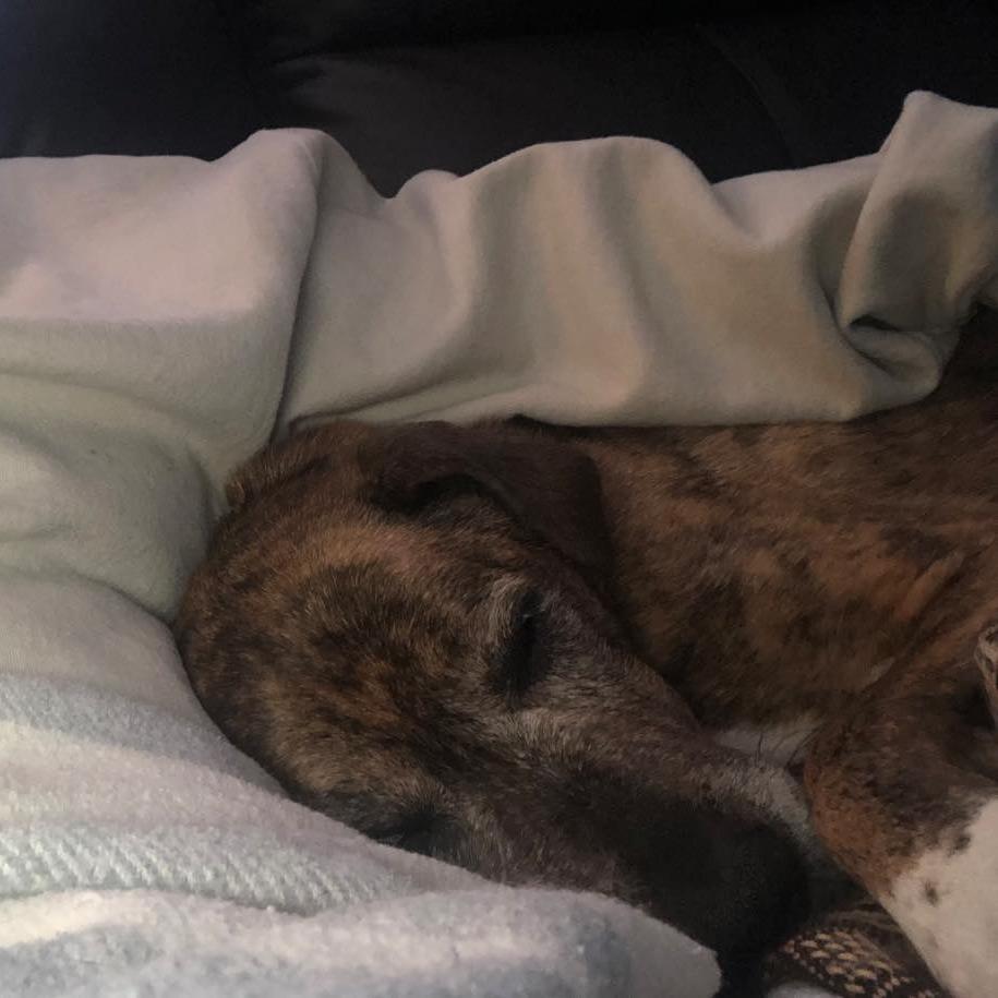 Myrtle — thumbnail 5