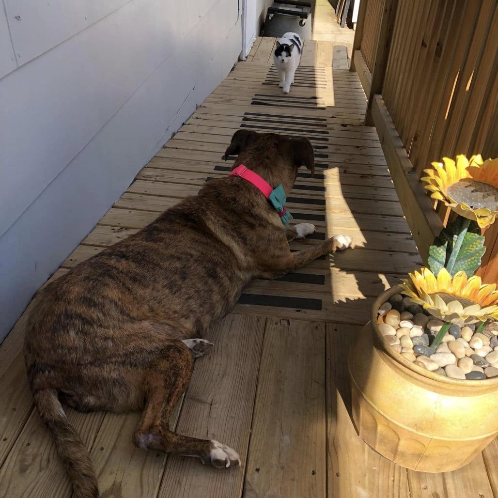 Myrtle — thumbnail 6