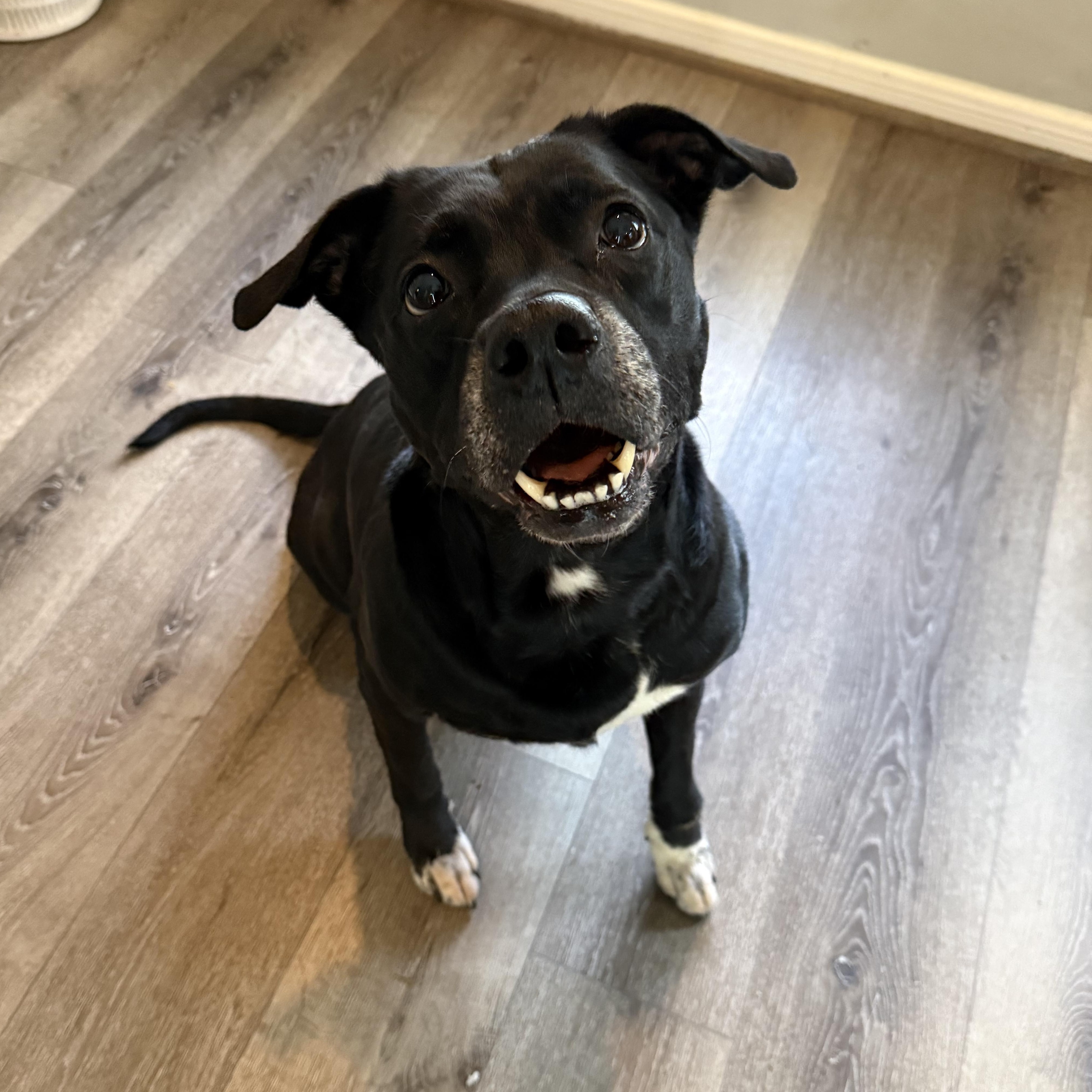 Xena photo