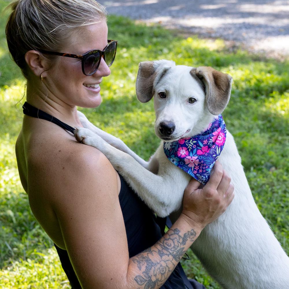 Star (Female), a Adoptable mixed breed in West Grove, PA image 3/6