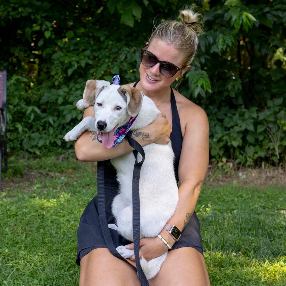 Star (Female), a Adoptable mixed breed in West Grove, PA image 6/6