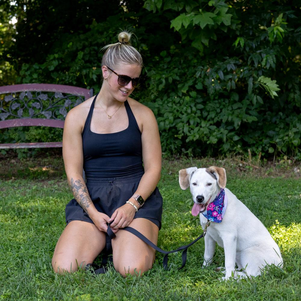Star (Female), a Adoptable mixed breed in West Grove, PA image 5/6