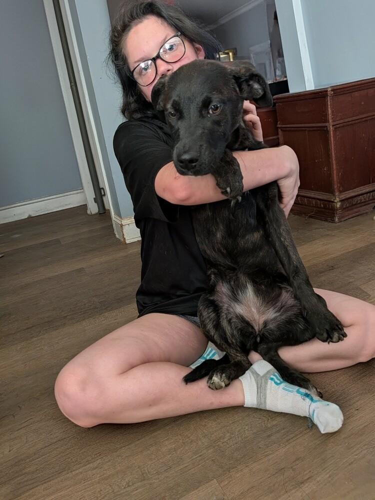 Enlarge Mabel, a Adoptable mixed breed in Statesville, NC image 2/3