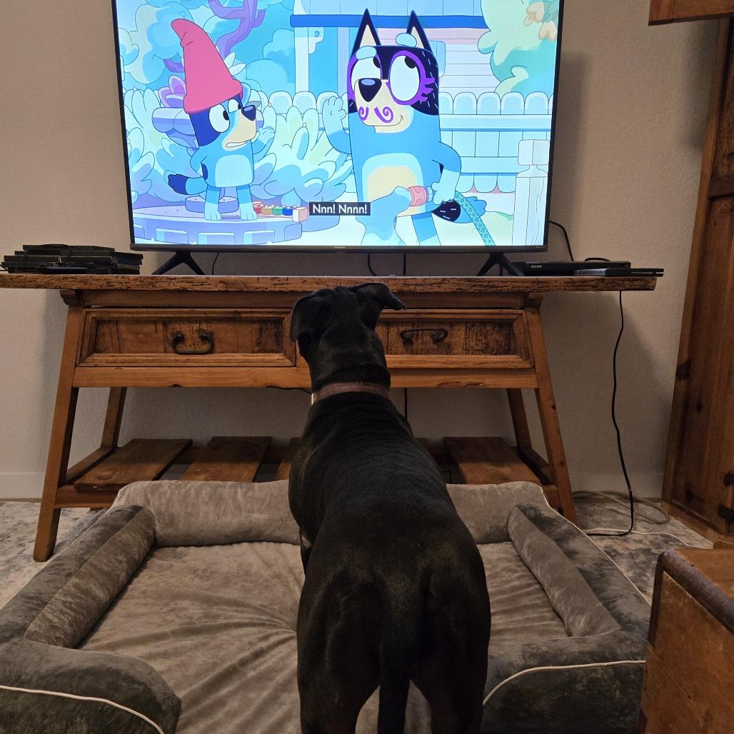 Shadow — thumbnail 3