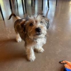Buddy photo 3