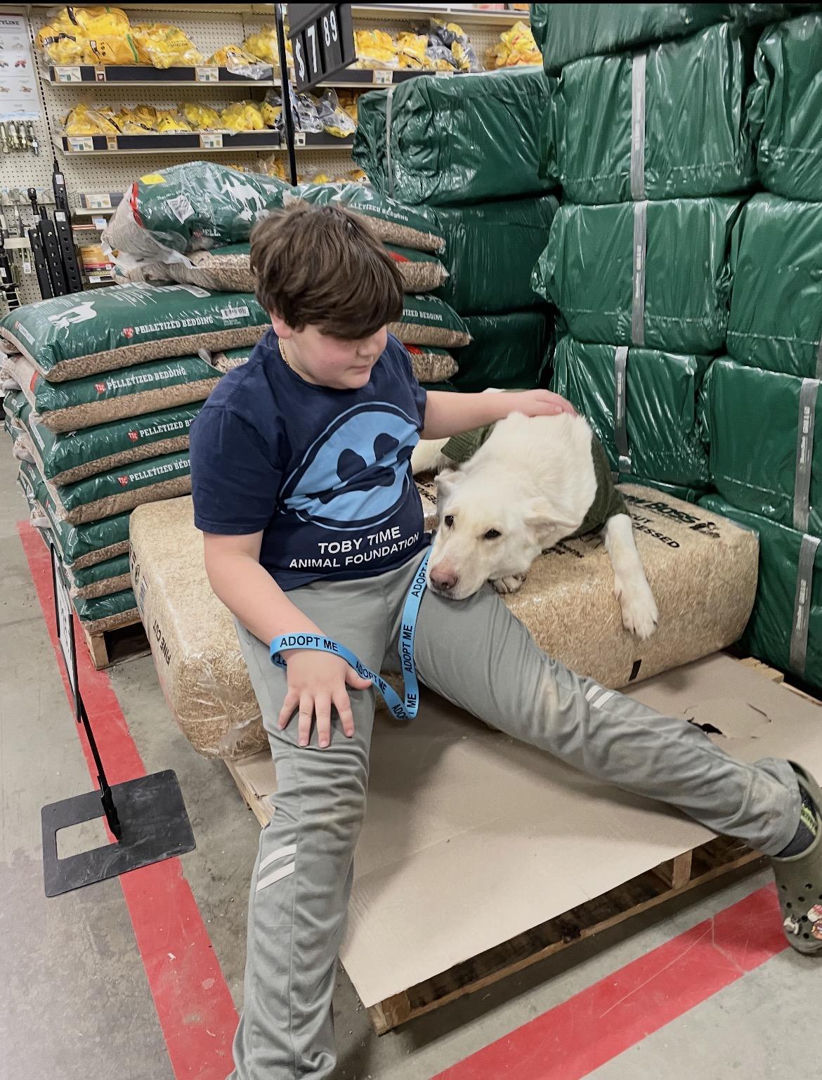 Enlarge Gretchen, a Adoptable German Shepherd Dog in Lincoln University, PA image 5/5