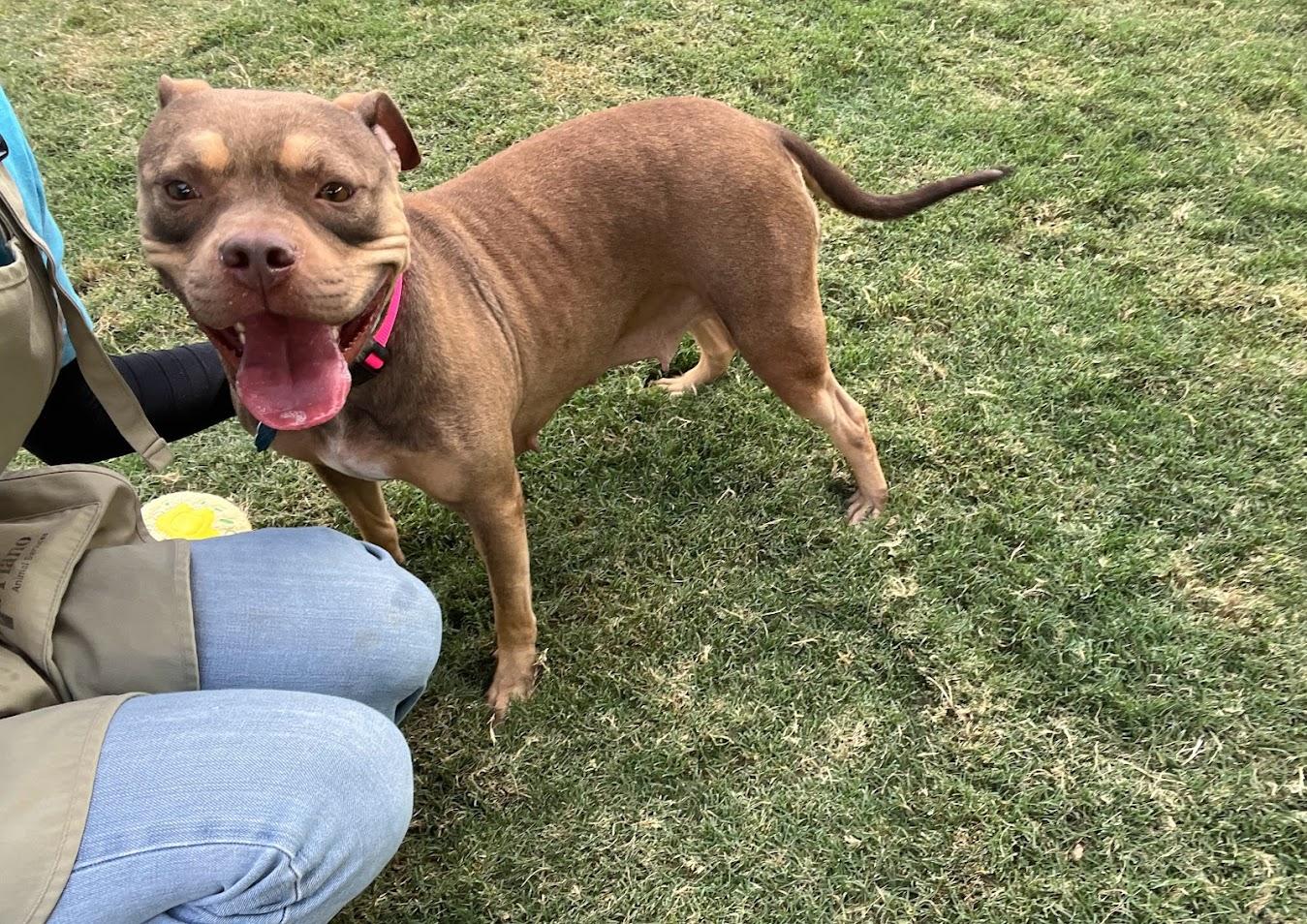 Sky A212613