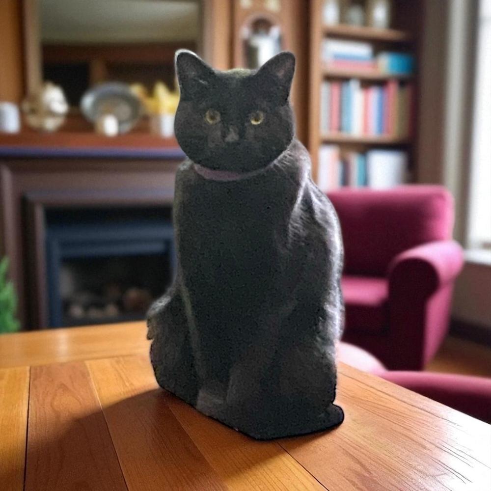 Dr. Pepper (Wendy's Litter), Adoptable, Adult Female Domestic Short Hair.