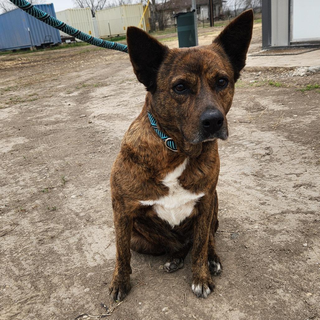 Vanilla aka Penny PS