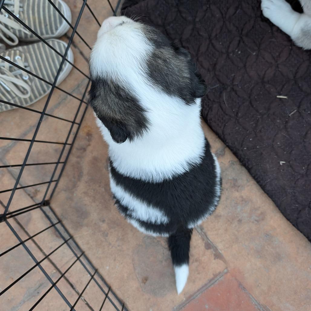 Lucia Mar — thumbnail 2