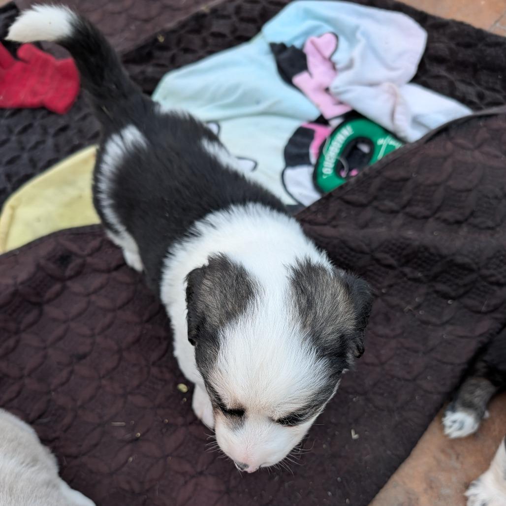 Lucia Mar — thumbnail 3