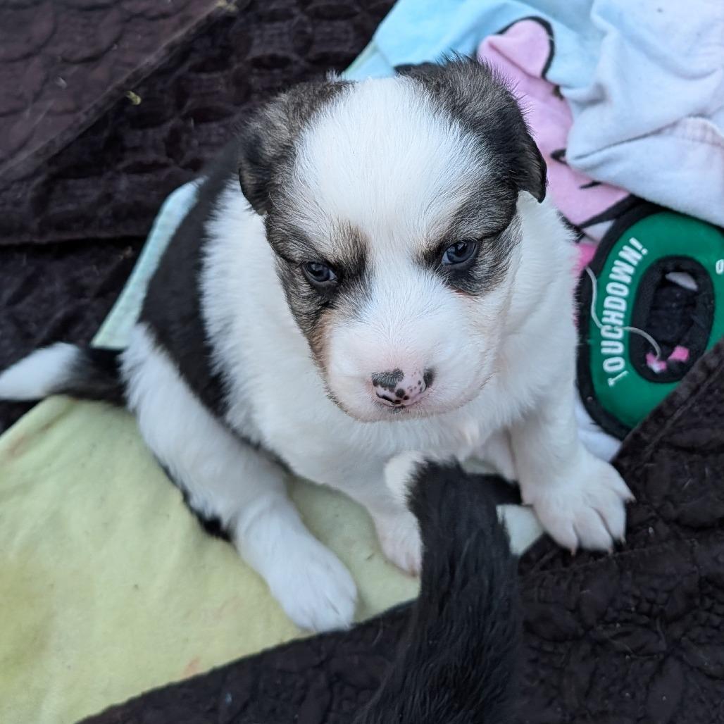 Lucia Mar — thumbnail 4