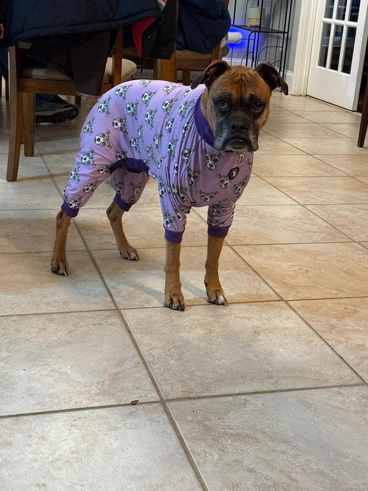 Enlarge Hazie, a Adoptable mixed breed in WARNER ROBINS, GA image 2/4