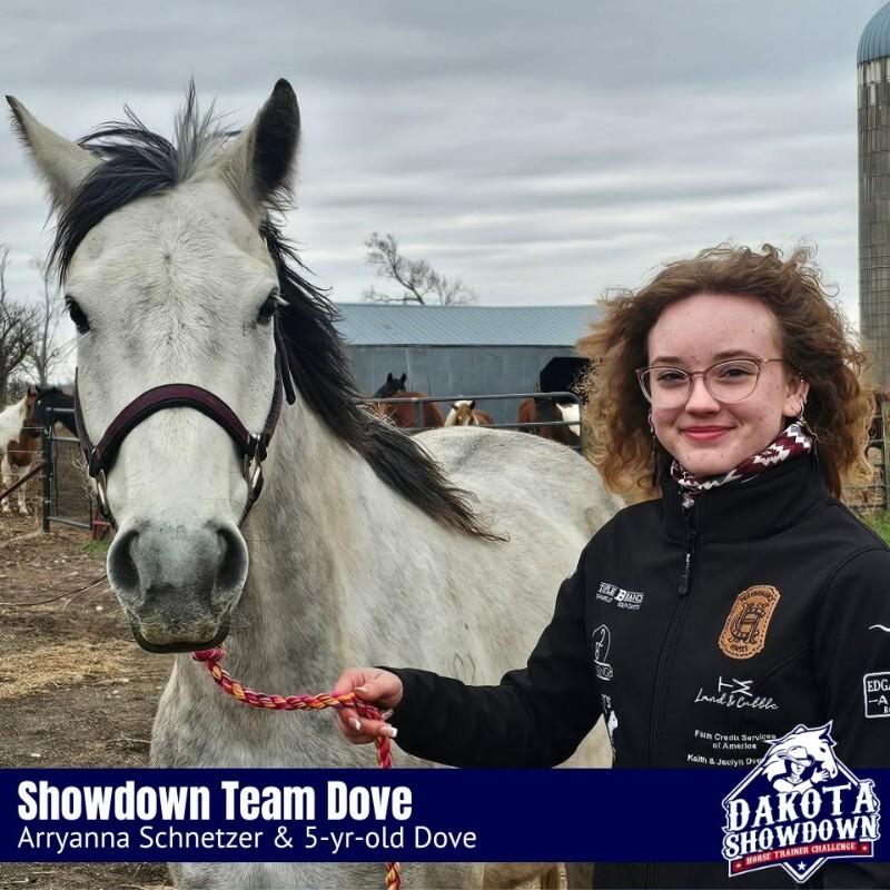 Enlarge Dove, a Adoptable Quarterhorse in Scotland, SD image 5/5