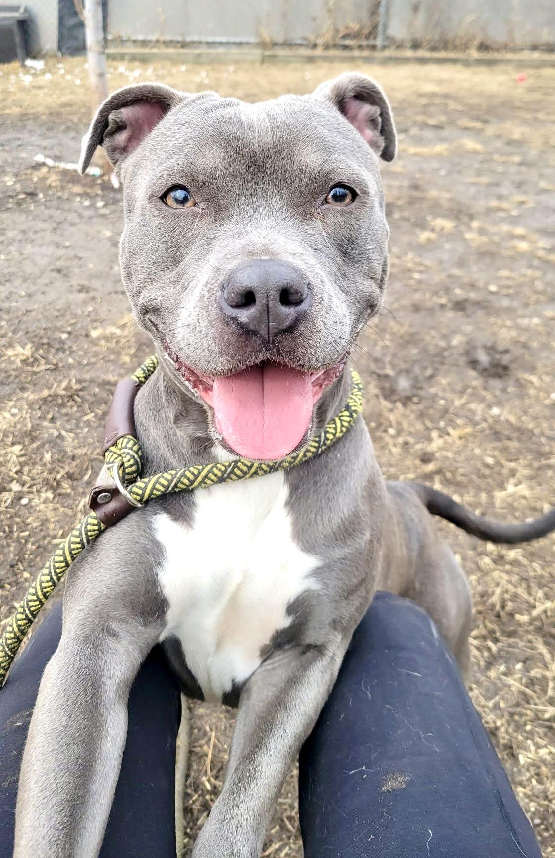 Mikasa — thumbnail 2