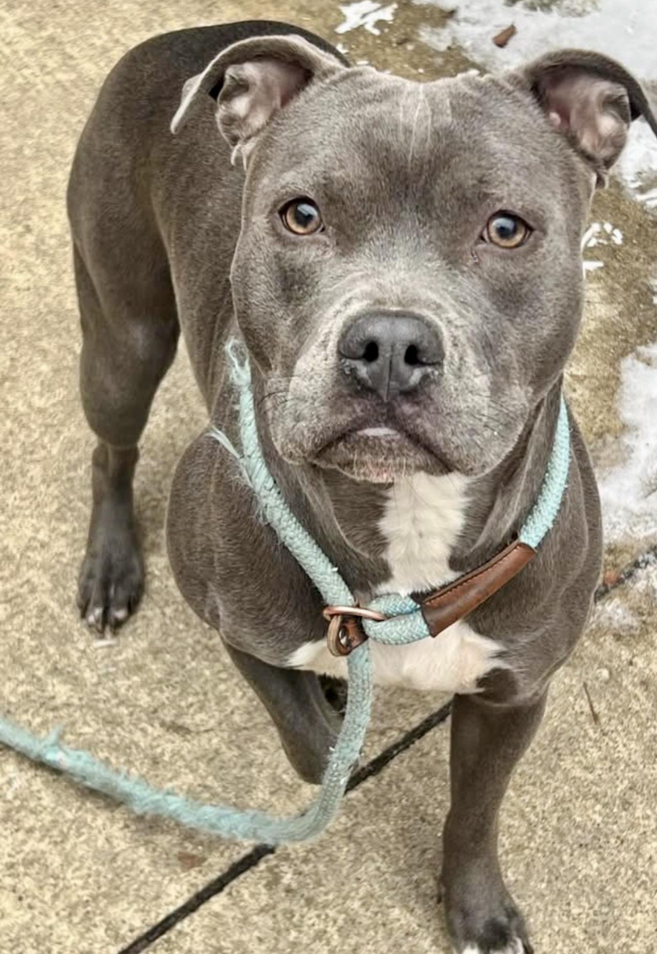 Mikasa — thumbnail 3