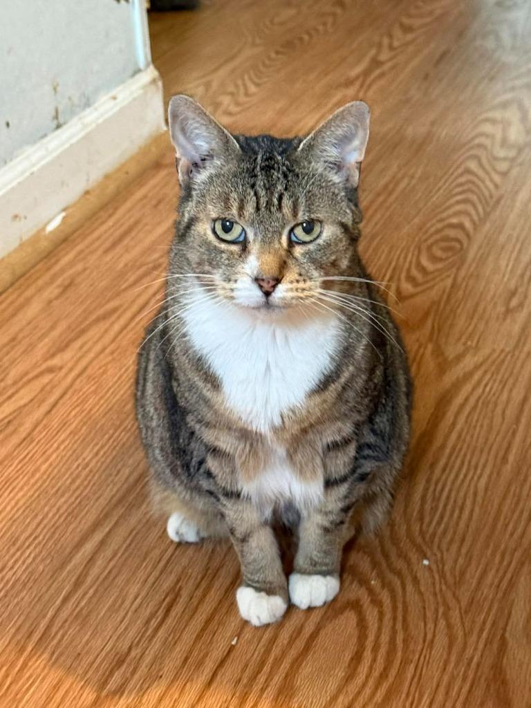 Roxy — thumbnail 3