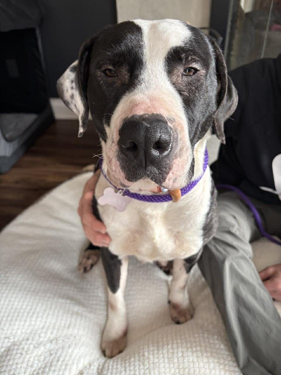 Lady Penny (20251024-03) — thumbnail 4