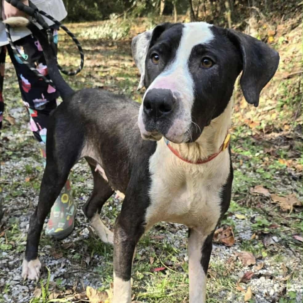 Lady Penny (20251024-03) — thumbnail 5