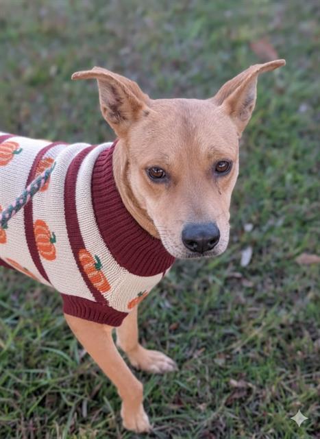 WENDY — thumbnail 2