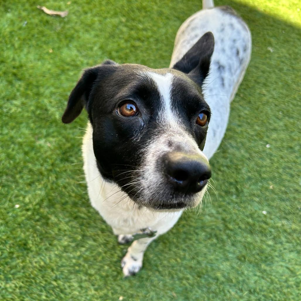 Michelle — thumbnail 2